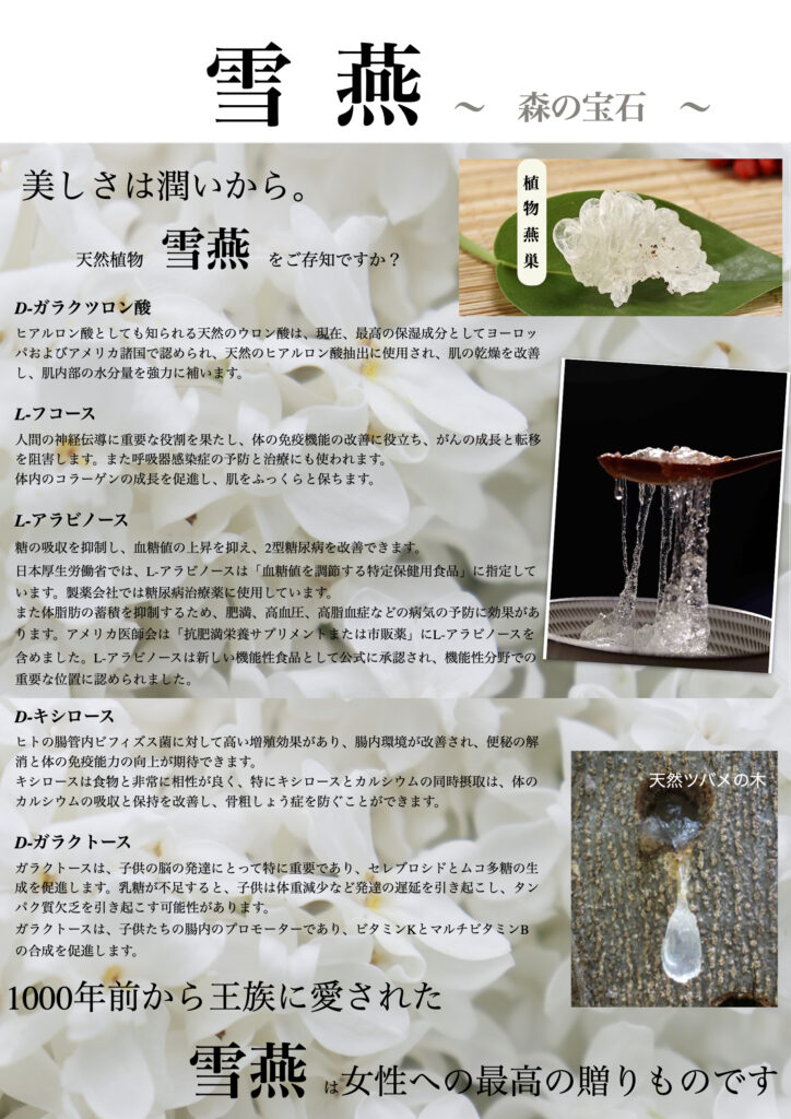 雪燕yukitsubame